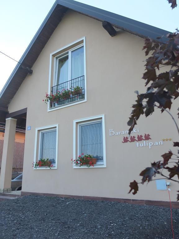 Country House Baranjski Tulipan Draz Exterior photo