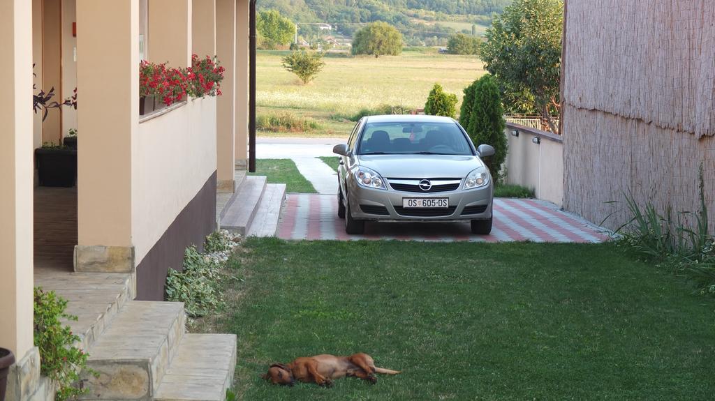 Country House Baranjski Tulipan Draz Exterior photo